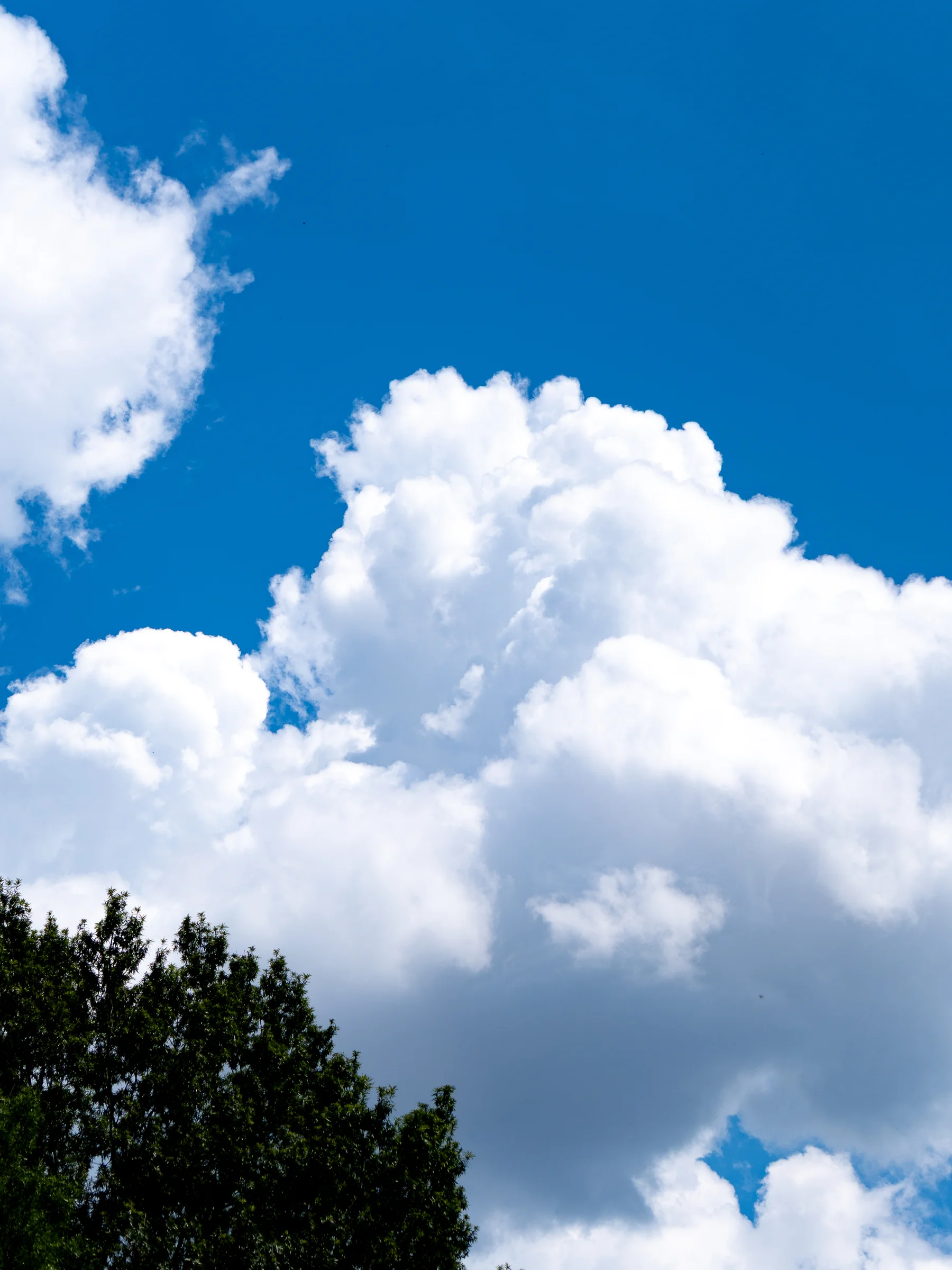 Virginia Summer Skyscape