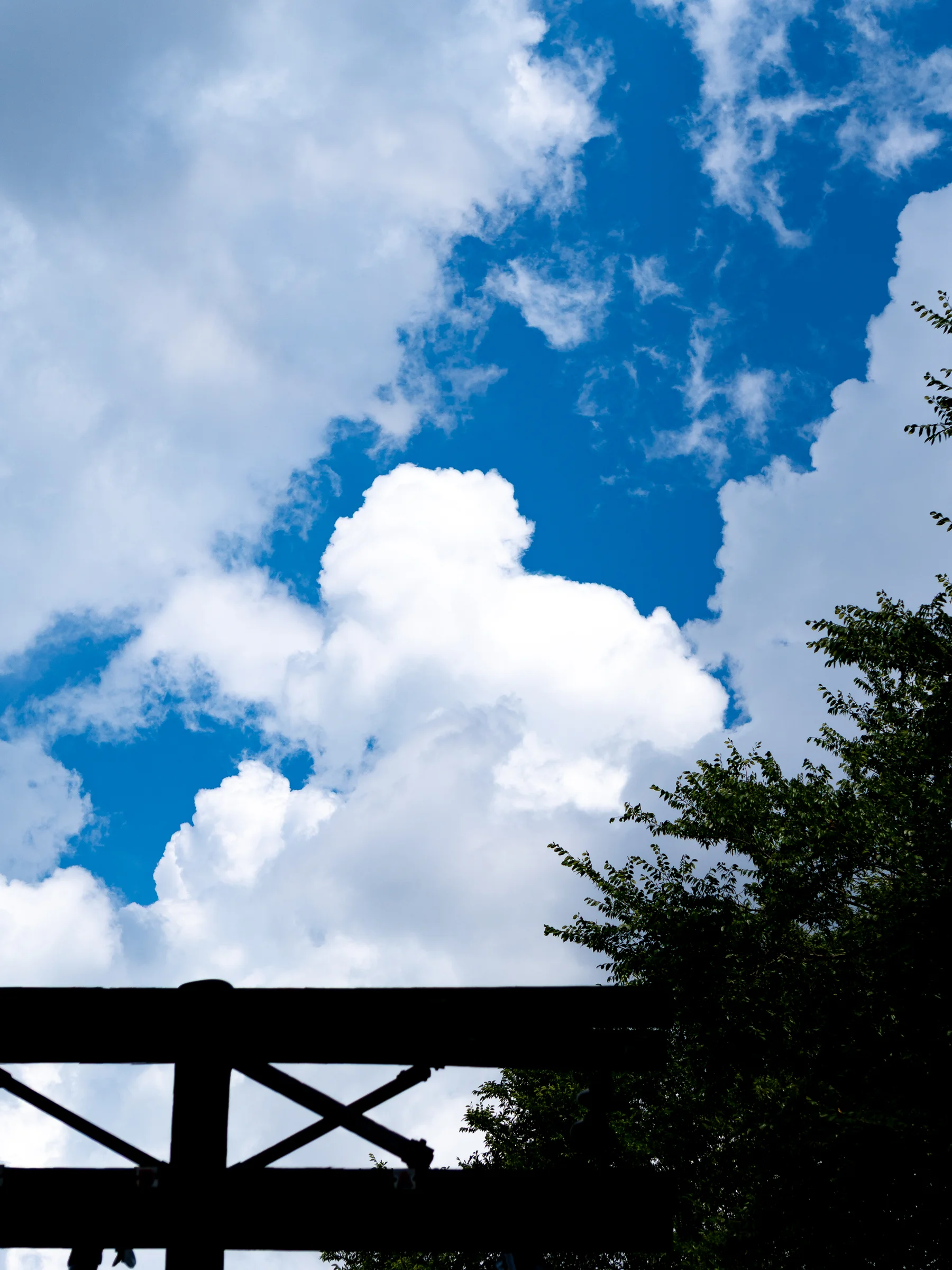 Cloudscape — Richmond, June