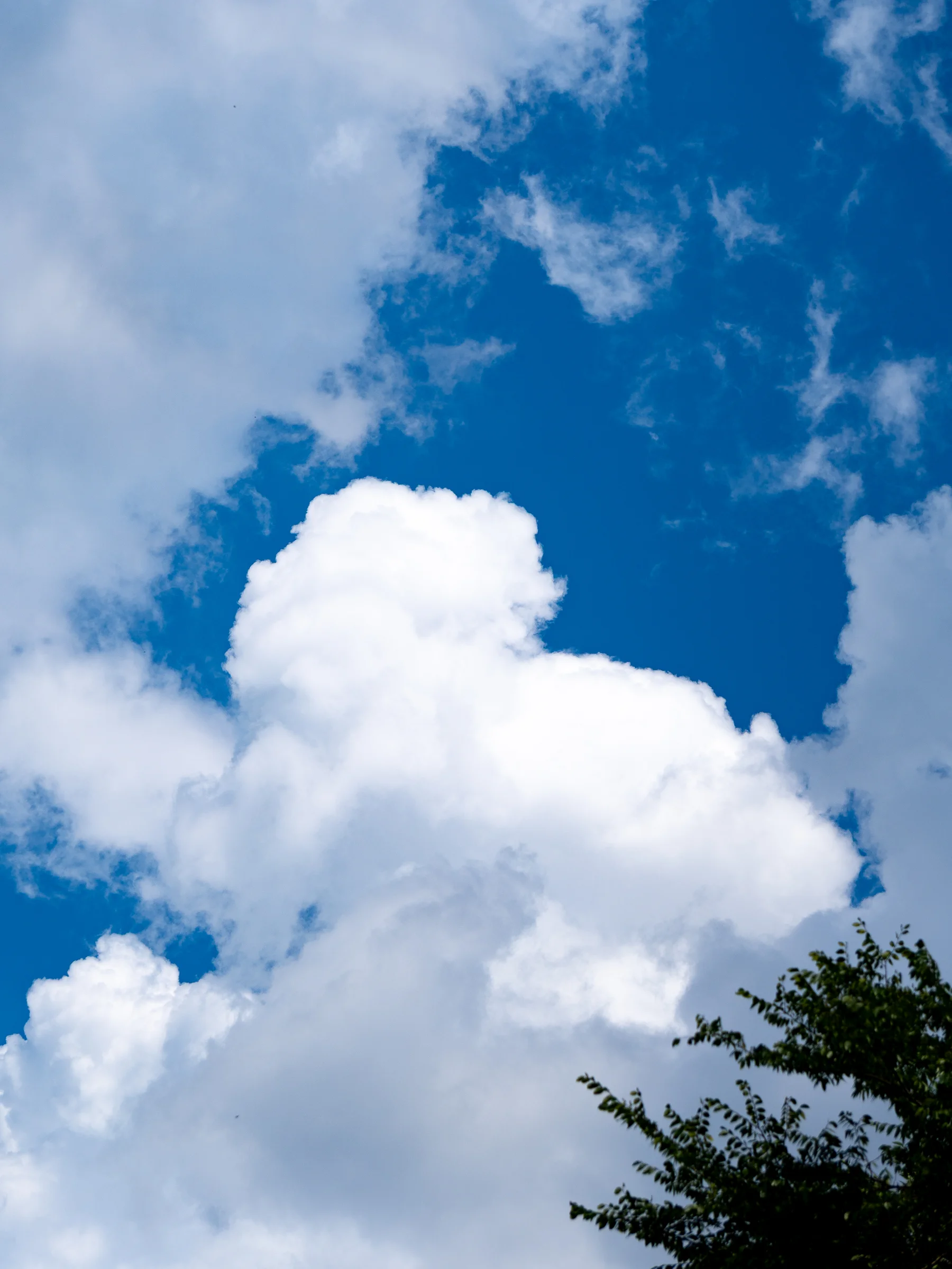 Building Cumulus, Richmond