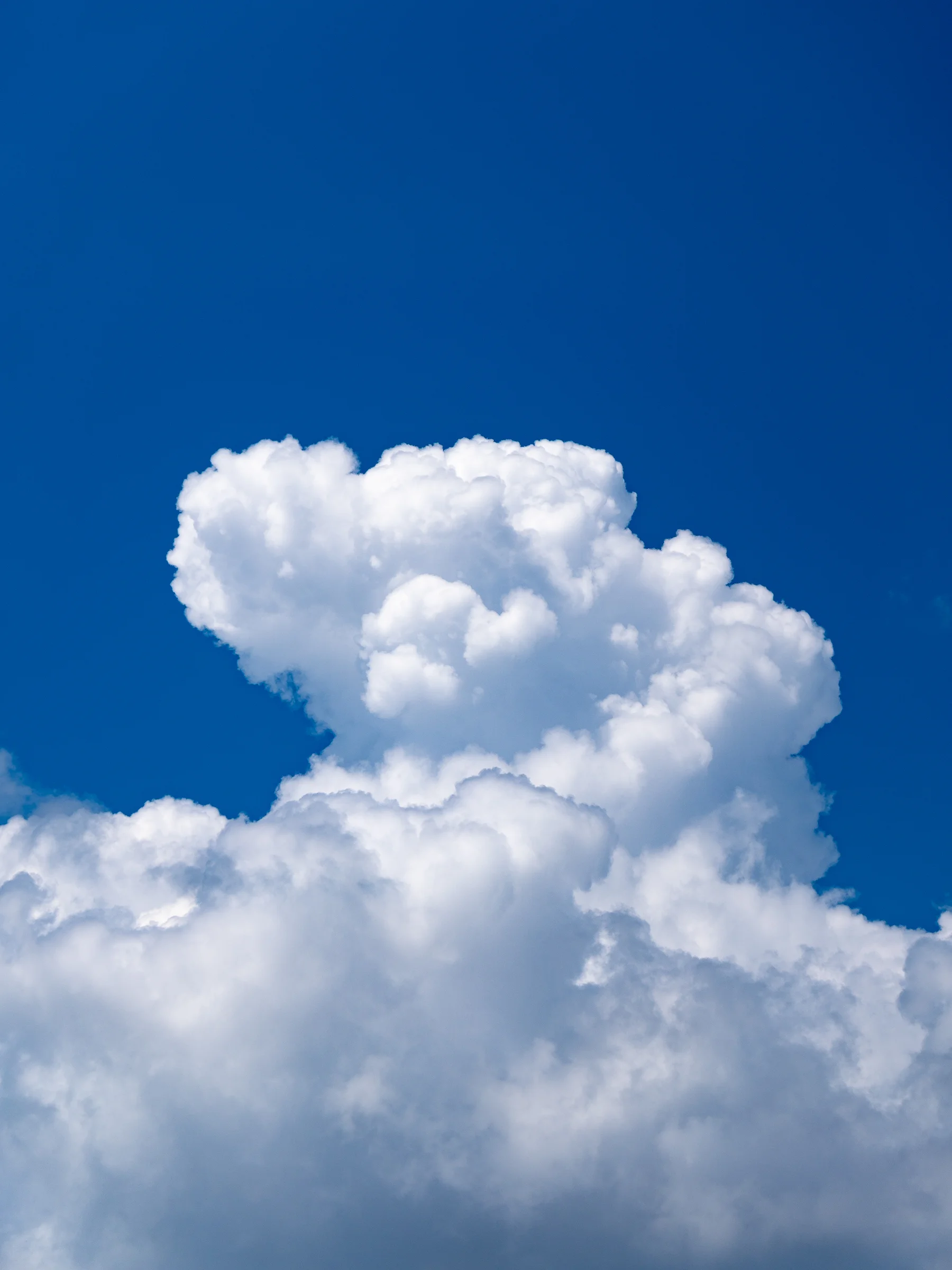 Mushroom Cloud Formation