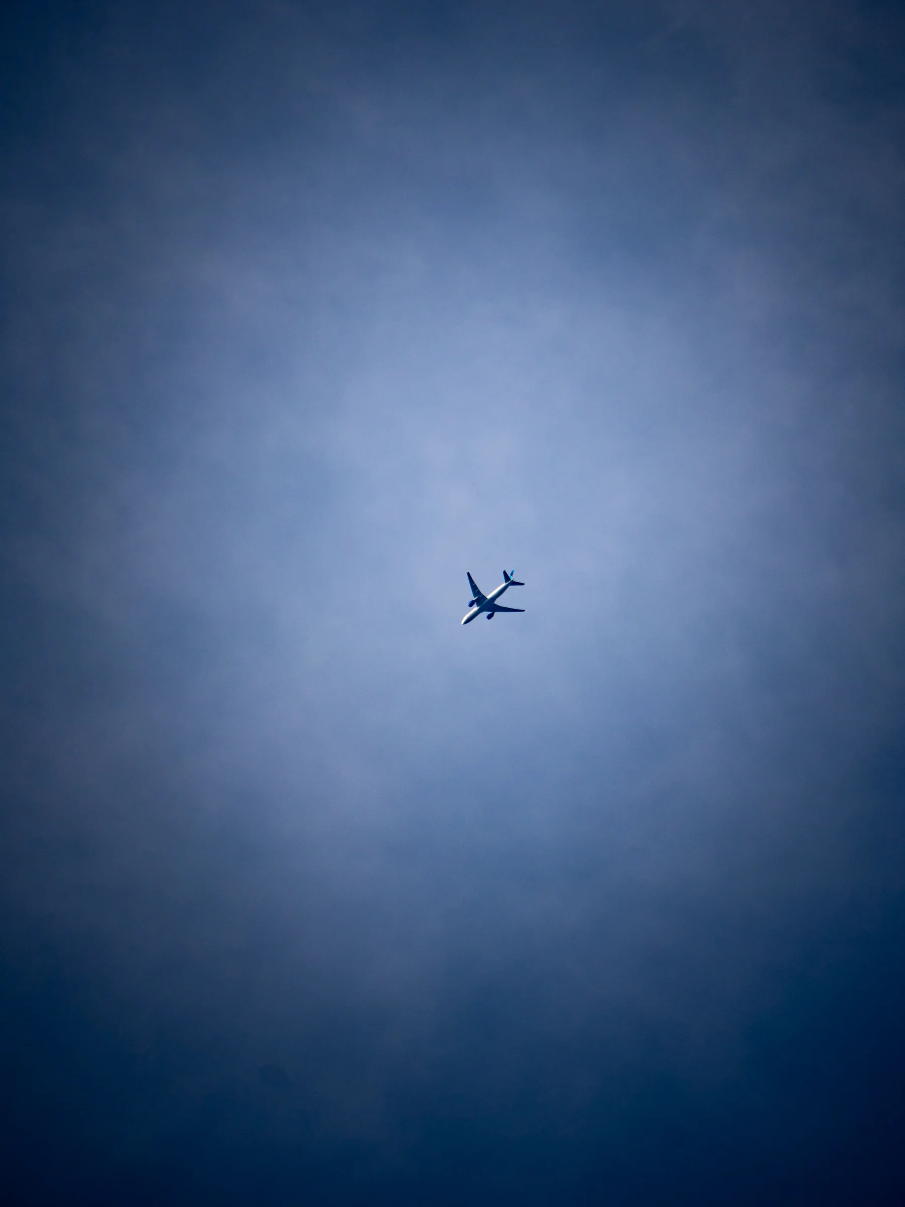 Airliner in Grey Sky