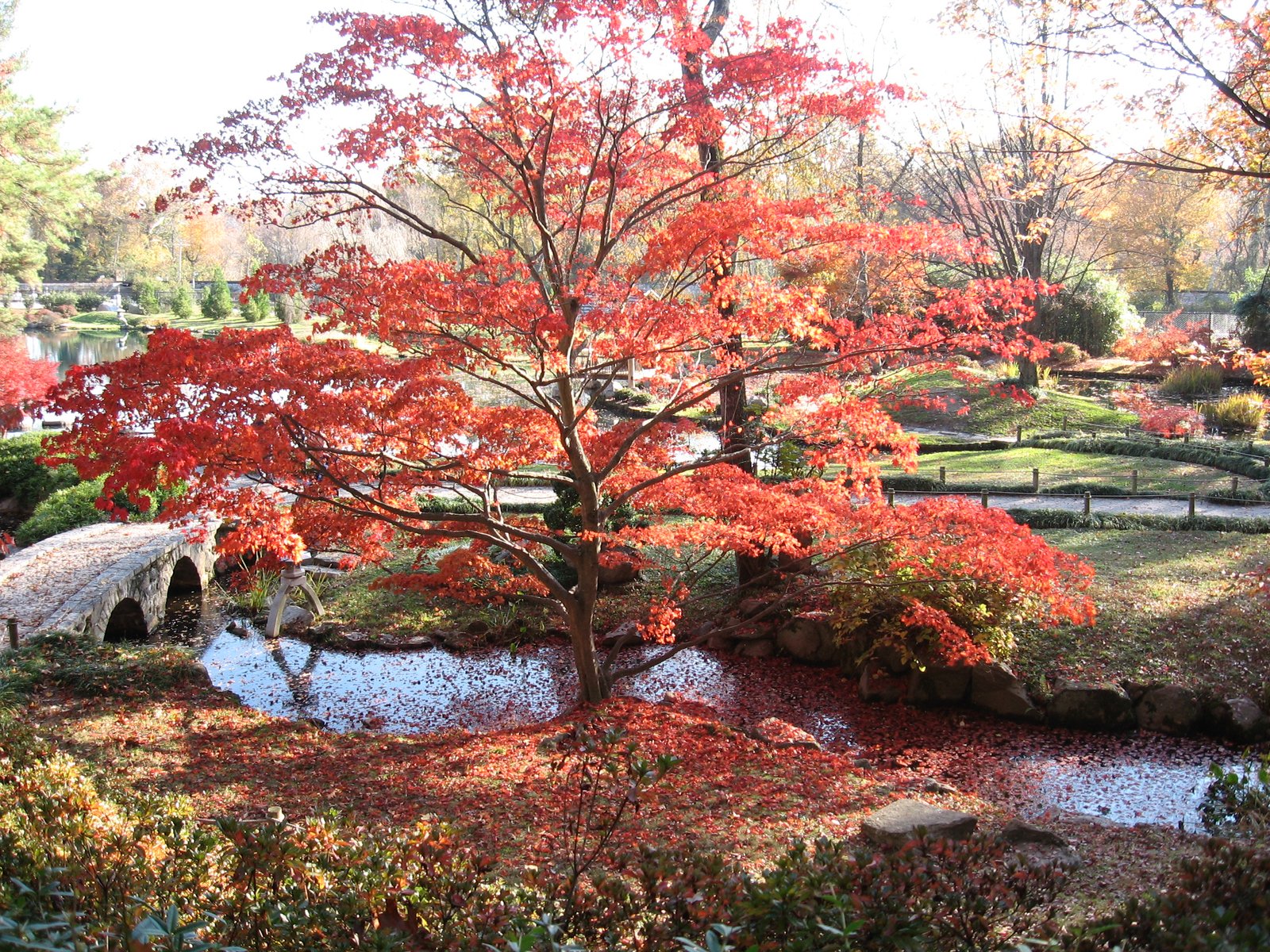 Maymont Park